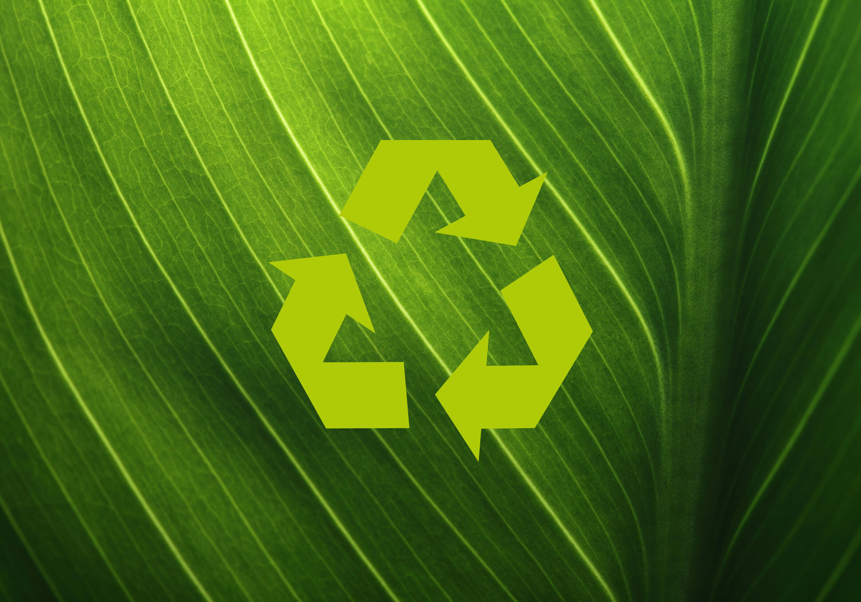 Réutiliser nos emballages pour réduire notre impact écologique
